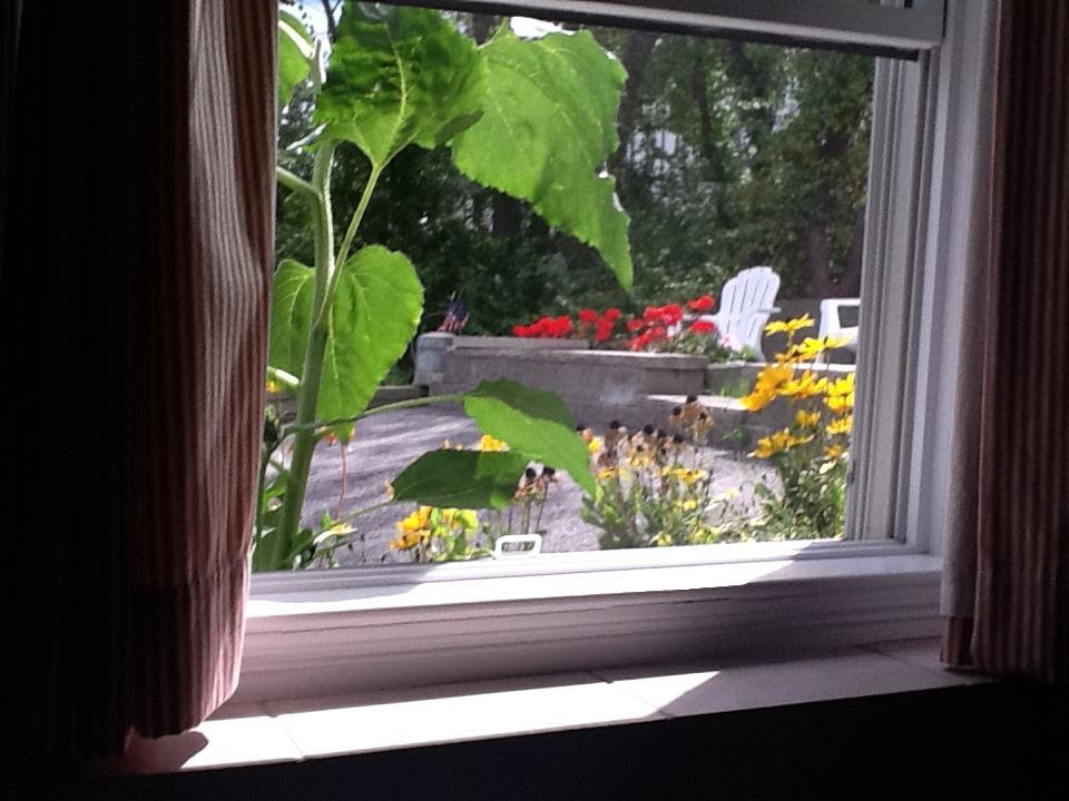 Josephine'S On The Bay Bed And Breakfast Hull Eksteriør billede